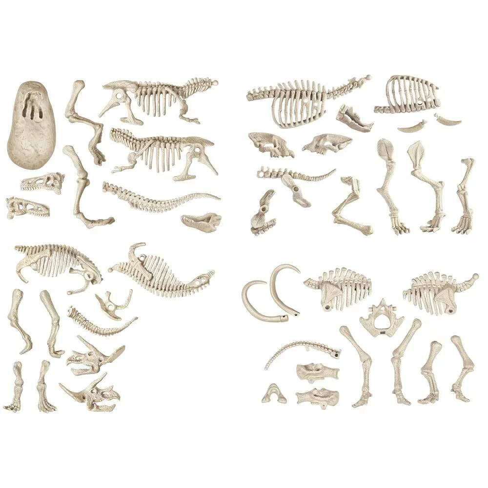 Clementoni ARCHEO-LUDIC, PROIES ET PREDATEURS - Image 2